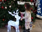 Про утренник с фото. Не поняла почему к этому посту были закрыты комментарии, ну да ладно