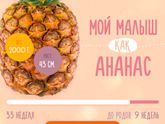 Нам уже 32 недельки❤️