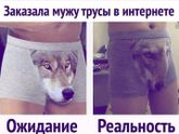 Без слов?????