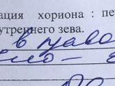 Девушки