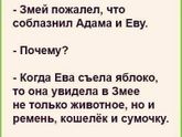 Анекдот)