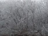Камчатская зимушка!