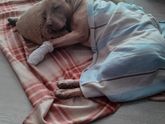Напомнить о себе)