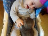 Завели сыну котика ?