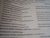 Прошла 1-й скрининг ?