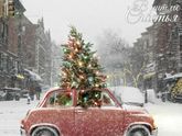 Декабрь ✨🎄💫он такой 🥂🎅