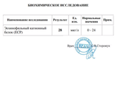 Эозинофилы