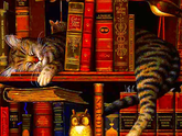 А почему вы не читаете книги?