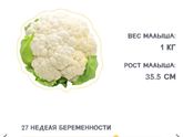 Моя прелесть