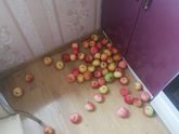 Яблочный передоз