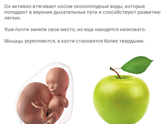 14 недель?
