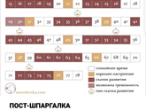 Беспокойные ночи