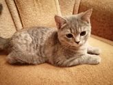 Подросла красотка