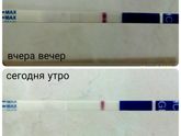 Может ли такое быть? Тест!