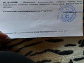 Помогите расшифровать узи головного мозга
