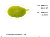 35недель!) Ещё одна маленькая победа!