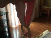Подскажите пожалуйста что это?не