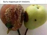 Девочки, нужна поддержка.