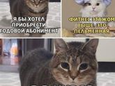 Ну, в общем, худение