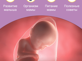 Нам 🤰32 недельки💙