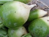 Девочки покидайте рецепты вкусного