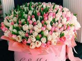 С праздником, девочки!🌺🌺🌺