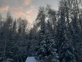 30 дней в своей кроватке [День 8]