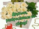 Друзьям 💐