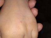 Девочки, на что похожи