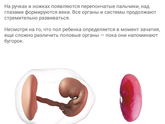 Правда ли эта?