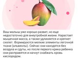 ❤ 24 недельки
