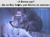 Начала краситься каждый день, вот уже дней 10