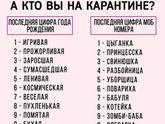 Нравятся мне эти приколы