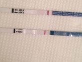 Наверно все- таки оно 🤰