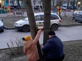 "Марсианская зима"