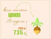 2️⃣5️⃣ недель ??.