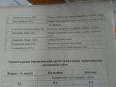 Что ваши дети умеют в год?