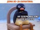 Навеяло постами