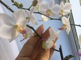 Как вы договаривалось с