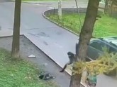 Пожалуйста, не давайте ходить