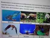 Девочки, помогите ?