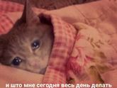 Проснулась и опять не рожаю