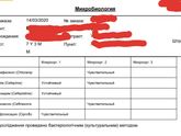 Анализы