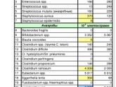 Подскажите, пожалуйста, кто нибудь