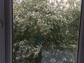 Вид из окна)