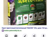 Каланхоэ гибнет.