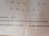 Заключение генетика