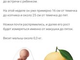 Мои 19 недель ?