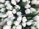 🍾🥂Девчонки💐💝