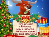 Фотография 2021-01-01 11:21:15